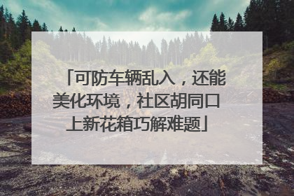 可防车辆乱入，还能美化环境，社区胡同口上新花箱巧解难题