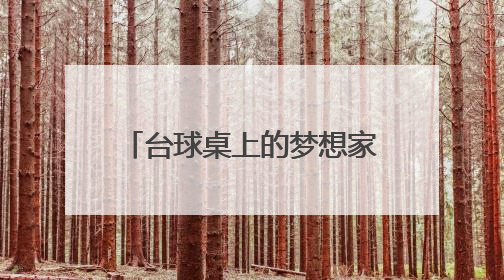 台球桌上的梦想家 “小孩哥”畅想“下一杆”人生