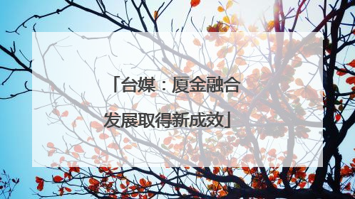 台媒：厦金融合发展取得新成效