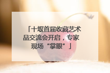 十堰首届收藏艺术品交流会开启，专家现场“掌眼”