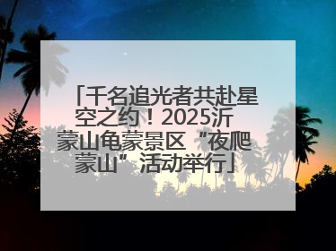 千名追光者共赴星空之约！2025沂蒙山龟蒙景区“夜爬蒙山”活动举行