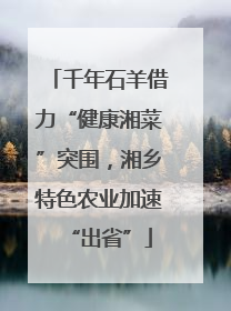 千年石羊借力“健康湘菜”突围，湘乡特色农业加速“出省”
