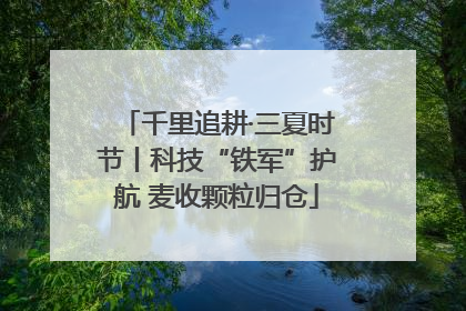 千里追耕·三夏时节丨科技“铁军”护航 麦收颗粒归仓