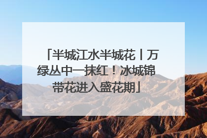 半城江水半城花丨万绿丛中一抹红！冰城锦带花进入盛花期
