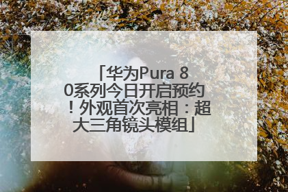 华为Pura 80系列今日开启预约！外观首次亮相：超大三角镜头模组