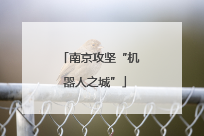 南京攻坚“机器人之城”