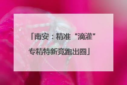 南安：精准“滴灌”专精特新竞跑出圈