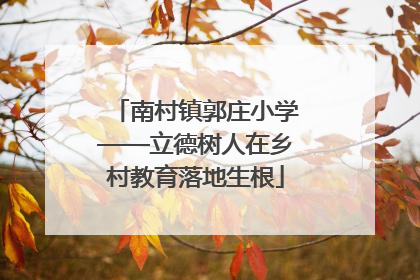 南村镇郭庄小学——立德树人在乡村教育落地生根