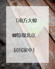 南方大蟑螂惊现北京居民家中