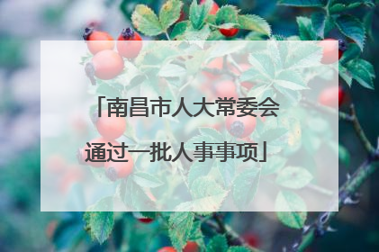 南昌市人大常委会通过一批人事事项