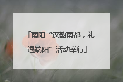 南阳“汉韵南都，礼遇端阳”活动举行