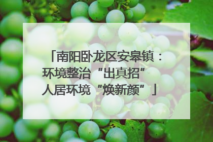 南阳卧龙区安皋镇：环境整治“出真招” 人居环境“焕新颜”