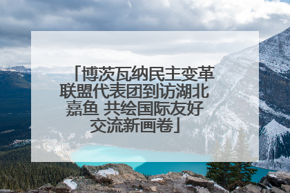 博茨瓦纳民主变革联盟代表团到访湖北嘉鱼 共绘国际友好交流新画卷