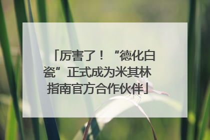 厉害了！“德化白瓷”正式成为米其林指南官方合作伙伴