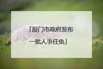 厦门市政府发布一批人事任免