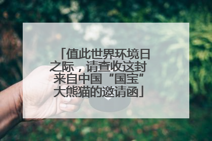 值此世界环境日之际，请查收这封来自中国“国宝”大熊猫的邀请函