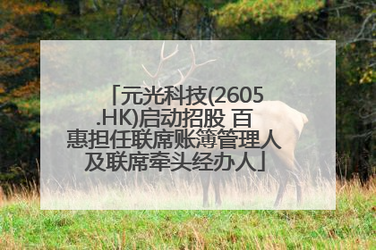 元光科技(2605.HK)启动招股 百惠担任联席账簿管理人及联席牵头经办人