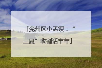 兖州区小孟镇：“三夏”收割话丰年