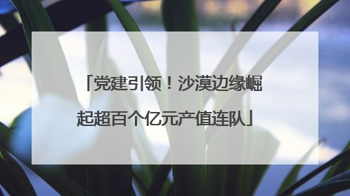 党建引领！沙漠边缘崛起超百个亿元产值连队