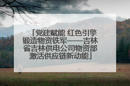 党建赋能 红色引擎锻造物资铁军——吉林省吉林供电公司物资部激活供应链新动能