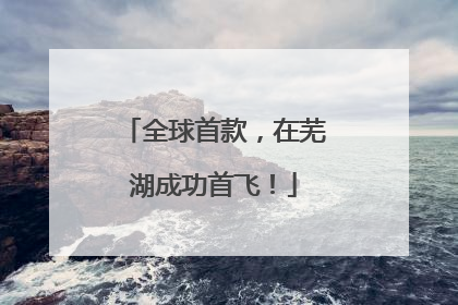 全球首款，在芜湖成功首飞！