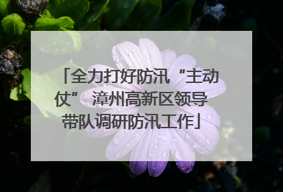全力打好防汛“主动仗” 漳州高新区领导带队调研防汛工作