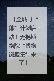 全城寻“熊”计划启动！无锡博物院“博物熊抱集”来了