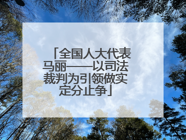 全国人大代表马丽——以司法裁判为引领做实定分止争