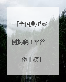 全国典型案例揭晓！平谷一例上榜