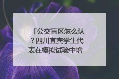 公交盲区怎么认？四川宜宾学生代表在模拟试验中增强乘车安全意识
