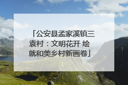 公安县孟家溪镇三袁村：文明花开 绘就和美乡村新画卷