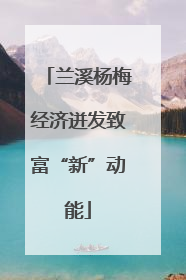 兰溪杨梅经济迸发致富“新”动能