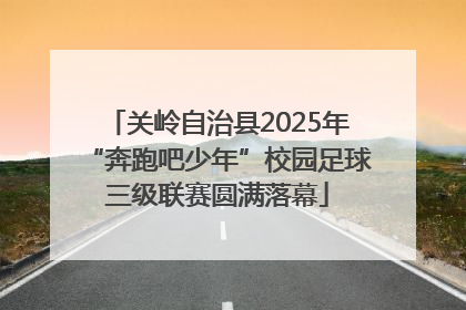 关岭自治县2025年“奔跑吧少年”校园足球三级联赛圆满落幕