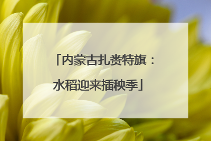 内蒙古扎赉特旗：水稻迎来插秧季