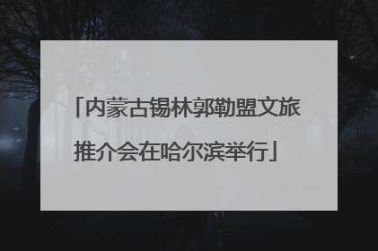 内蒙古锡林郭勒盟文旅推介会在哈尔滨举行
