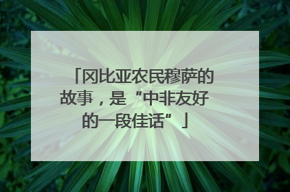冈比亚农民穆萨的故事，是“中非友好的一段佳话”