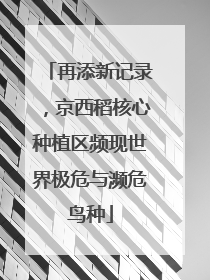 再添新记录，京西稻核心种植区频现世界极危与濒危鸟种