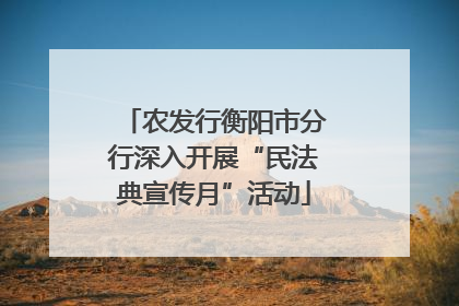 农发行衡阳市分行深入开展“民法典宣传月”活动