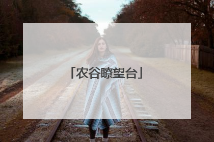 农谷瞭望台