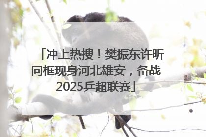 冲上热搜！樊振东许昕同框现身河北雄安，备战2025乒超联赛