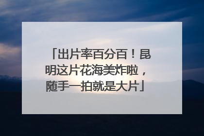 出片率百分百！昆明这片花海美炸啦，随手一拍就是大片