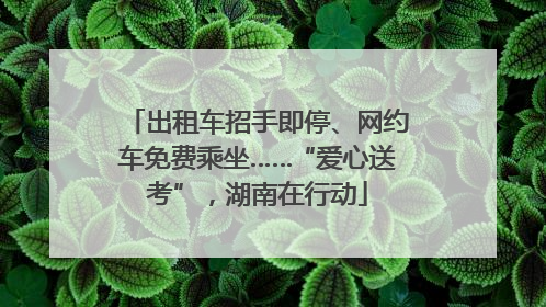 出租车招手即停、网约车免费乘坐……“爱心送考”，湖南在行动