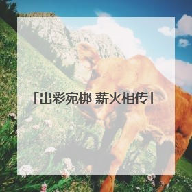 出彩宛梆 薪火相传