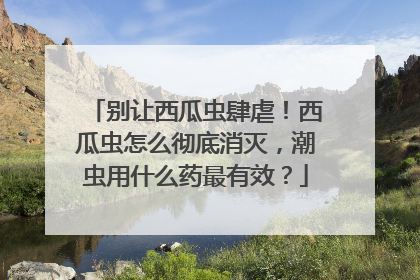 别让西瓜虫肆虐！西瓜虫怎么彻底消灭，潮虫用什么药最有效？