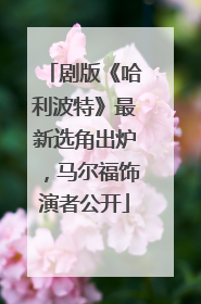 剧版《哈利波特》最新选角出炉，马尔福饰演者公开