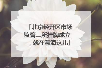 北京经开区市场监管二所挂牌成立，就在瀛海这儿