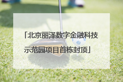 北京丽泽数字金融科技示范园项目首栋封顶