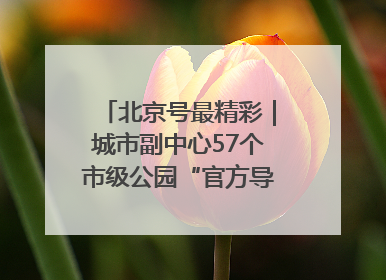 北京号最精彩｜城市副中心57个市级公园“官方导航”发布
