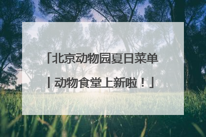 北京动物园夏日菜单丨动物食堂上新啦！