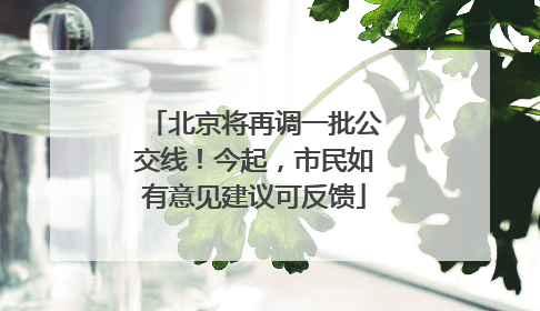 北京将再调一批公交线！今起，市民如有意见建议可反馈